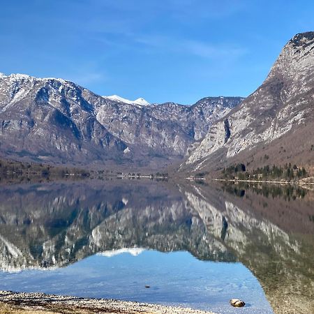 Апартаменты Mountain View In Triglav National Park Бохинь Экстерьер фото