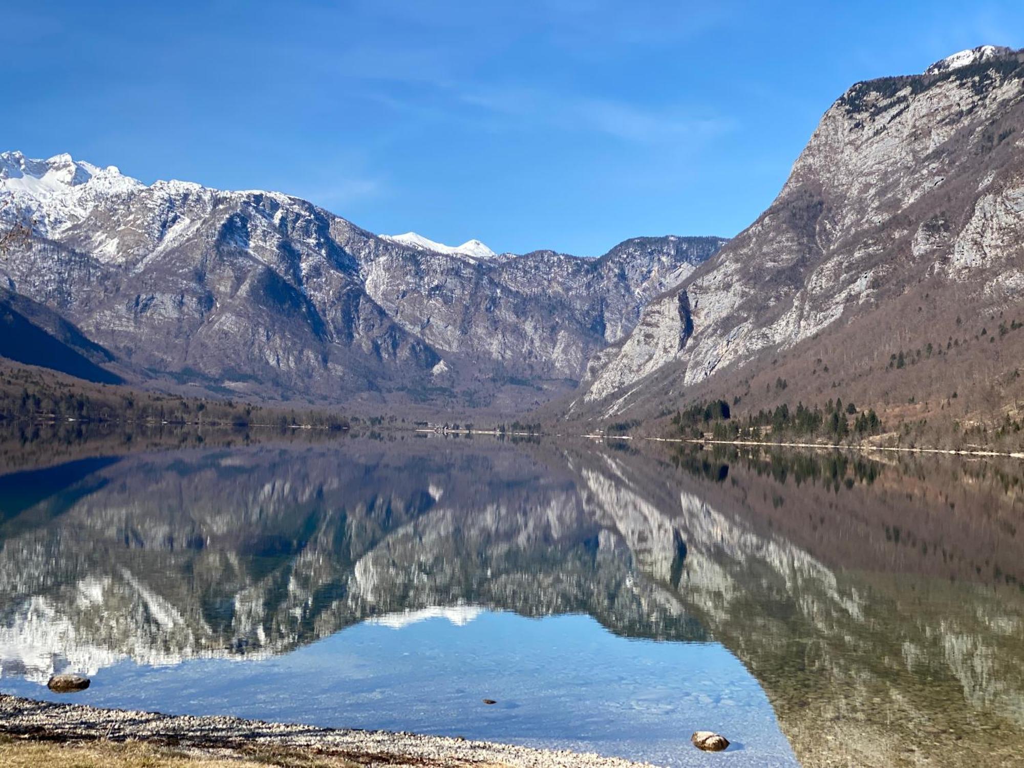 Апартаменты Mountain View In Triglav National Park Бохинь Экстерьер фото